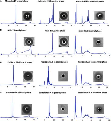 Gastrointestinal Stability and Cytotoxicity of Bacteriocins From Gram-Positive and Gram-Negative Bacteria: A Comparative in vitro Study